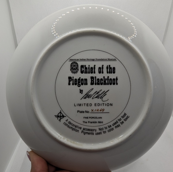 Native American Decorative Plate - Picture 5 of 5